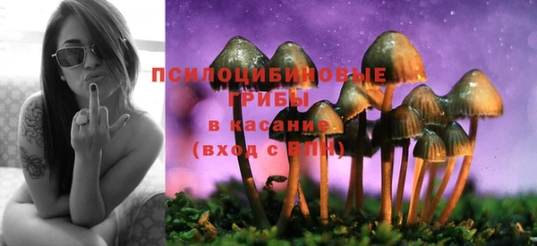 a pvp Алексеевка