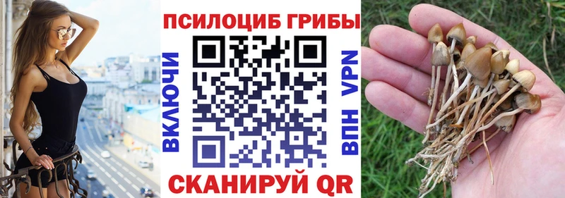 Галлюциногенные грибы мухоморы  Купить  Махачкала 